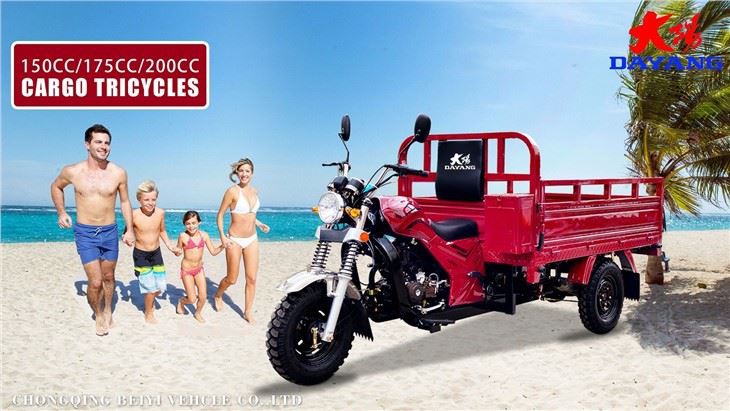 adult cargo gasoline motorized  tricycle custom