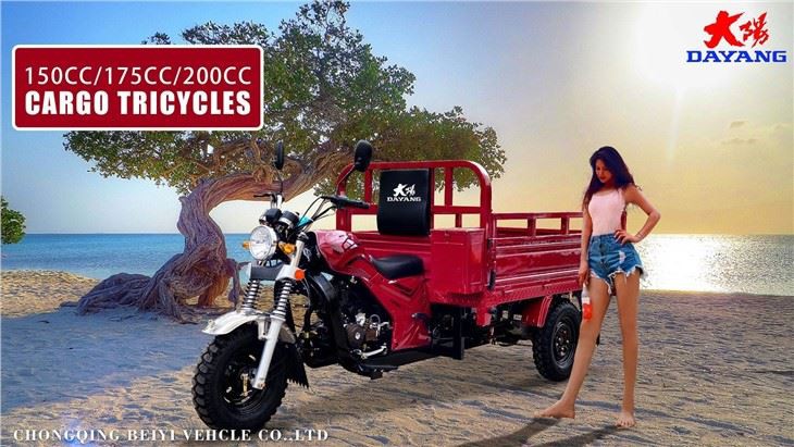 adult cargo gasoline motorized  tricycle  dayang
