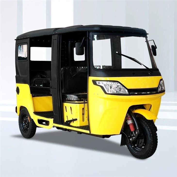 Tricicletă electrică cu motor cu 3 roți