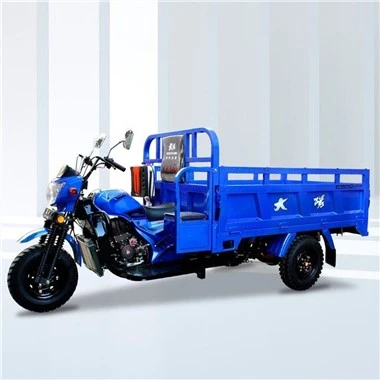 Moto cargo cu trei roți de 300 cmc